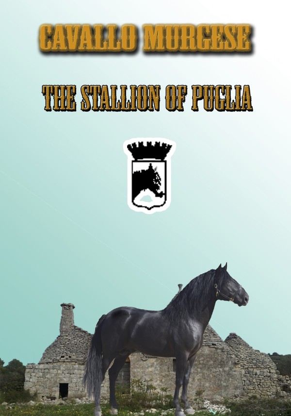murgese in puglia