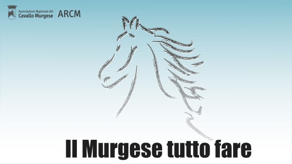 you tube murgese