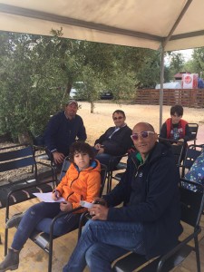 Al terra degli ulivi