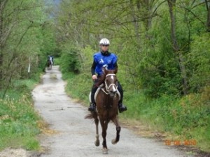 Mandrelli - Puglia a cavallo