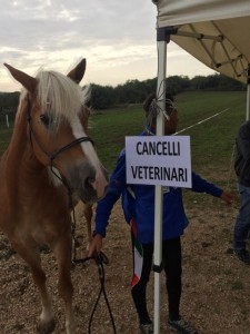 14568934_10207511700933011_1853735874_n