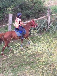 14569064_10207511697612928_1893894377_n