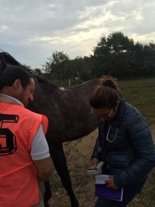 14569161_10207511702013038_1292310367_n