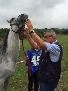 14569724_10207511694452849_342825406_n