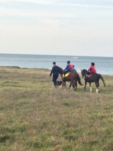 17309871_892015204301359_5765955677076317252_n