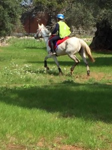 17351215_10208948688456801_2128124297_n