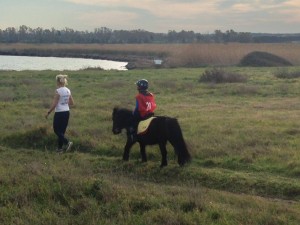 17359021_892015224301357_8457219944565751006_o