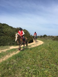 17360622_10208948689056816_1569609737_n