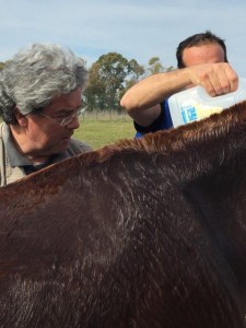 17360805_10208948682536653_1679329597_n