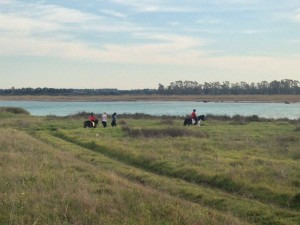 17390769_892015207634692_6537530227551375968_o