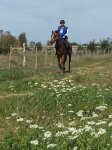 17393128_10208948685896737_1166860918_n