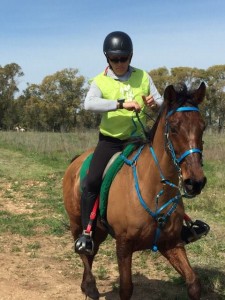 17409642_10208948689776834_468426331_n