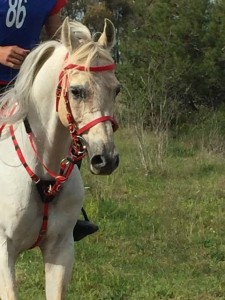 17439577_10208948682776659_1673110027_n