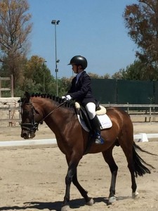 Simone Di Stante Puglia A Cavallo