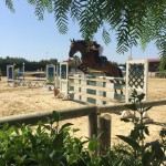 Ilaria Milella, Campionati Regionali 2018