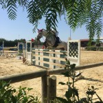 Un presidente a cavallo 