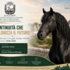 ANAMF NEL SEGNO DELLA CONTINUITA’