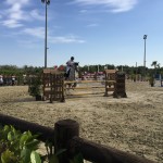 Campionati regionali 2015