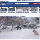 NEVE E GELO …  E LORO LI’ SEMPRE REGALI …