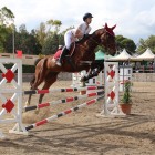 DIRITTO ALLO STUDIO ED EQUITAZIONE