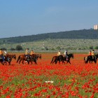 DA TORRE SANSANELLO AL VIA L’ENDURANCE