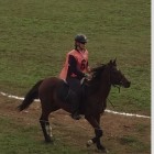 ALLA MORINI DI RUGGIANO DEL GARGANO LA BEST CONDITION