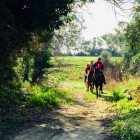 I TITOLI DEL CAMPIONATO  PUGLIA 2019 PER L’ENDURANCE