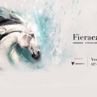 I GIOVANI PUGLIESI LAVORANO PER UN POSTO IN FIERACAVALLI