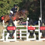 Salvatore Lapergola su Imperator