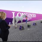 UN PEZZO DI PUGLIA DA …AACHEN A ST TROPEZ