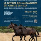 QUALE FUTURO PER I MURGESI