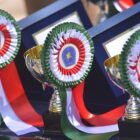 DUE GIOVANI PUGLIESI AGLI EUROPEI DI SALTO