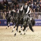 Il Nero Luminoso incanta Fieracavalli 2024