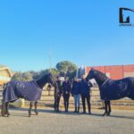 Anche la tv francese ha interesse per la razza Murgse