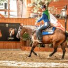 MATTIA MALAGNINO: TALENTO D’ORO AI MONDIALI DI REINING