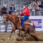 IN TRE AI MONDIALI DI REINING