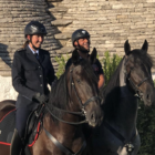 ECCELLENZA ITALIANA A CAVALLO: MARTINA FRANCA E LA BUNDESPOLIZEI CELEBRANO IL MURGESE