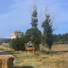 SULLA VIA FRANCIGENA LA IV^ TAPPA ENDURANCE