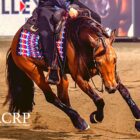 TRA SPORT E MEMORIA: IL REINING OMAGGIA  MICHELE LATORRE