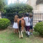 A TARANTO ANCHE I PONY DI FATTORIA SCASSERBA PER “WAITING FOR THE GAMES”