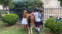 A TARANTO ANCHE I PONY DI FATTORIA SCASSERBA PER “WAITING FOR THE GAMES”