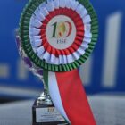 I RISULTATI  DI PUGLIA E BASILICATA AL CAMPIONATO CENTRO SUD